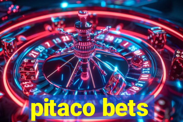 pitaco bets